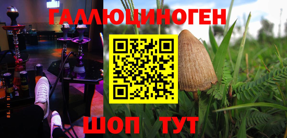 Галлюциногенные грибы Psilocybine cubensis  где можно купить   Тюмень  Галлюциногенные грибы MAGIC MUSHROOMS  Вход с VPN 