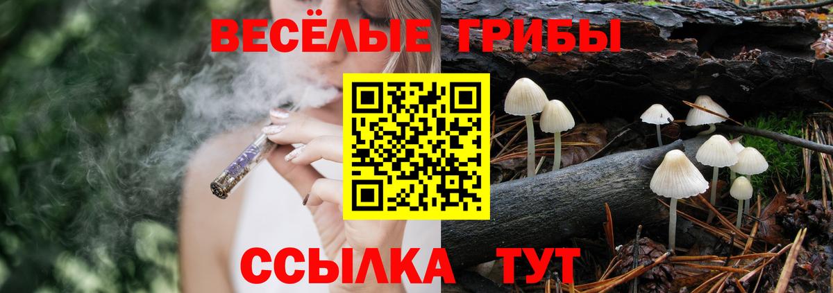 Псилоцибиновые грибы мухоморы Тюмень